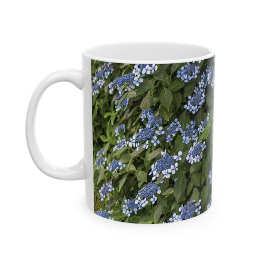 Lacecap Hydrangea Reverie